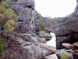 Corang 2008