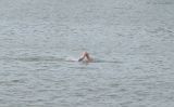 2009 Triple Tri