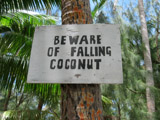 Fiji 2009