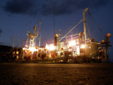 September 29, 2010